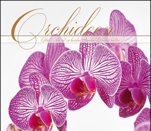 Klosterneuburg - výstava orchideí-4