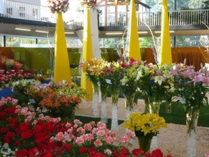 FLORA OLOMOUC - jarná etapa
