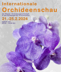 Viedeň - výstava orchideí-3